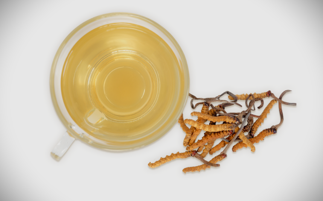 Il Cordyceps mi trasformerà in uno zombie? Note di un nutrizionista 