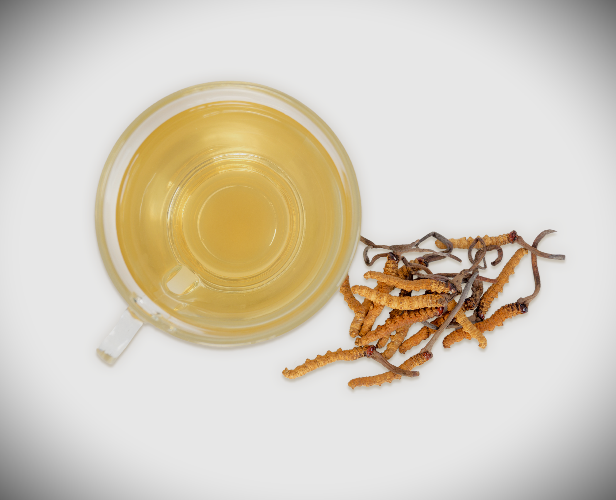 Il Cordyceps mi trasformerà in uno zombie? Note di un nutrizionista 