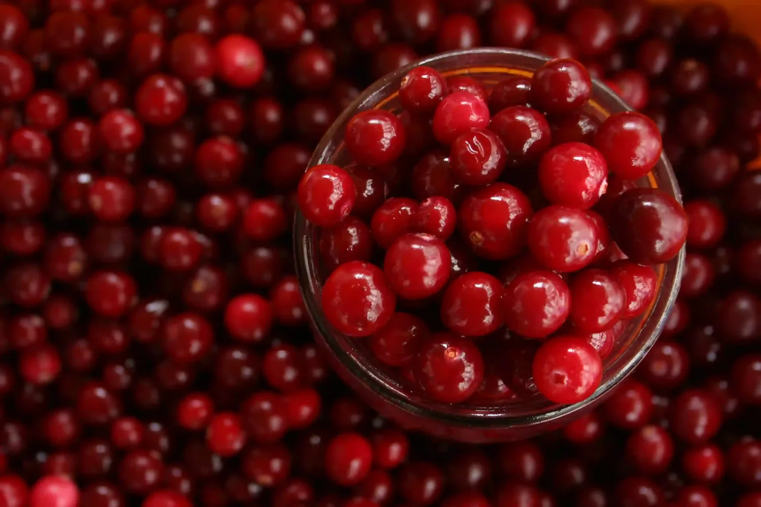 Benefici per la salute del mirtillo rosso: salute digestiva e cardiaca