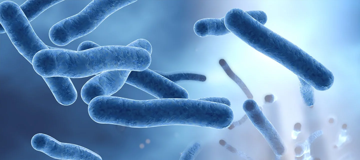 Cos’è il microbioma intestinale e come influisce sulla salute?