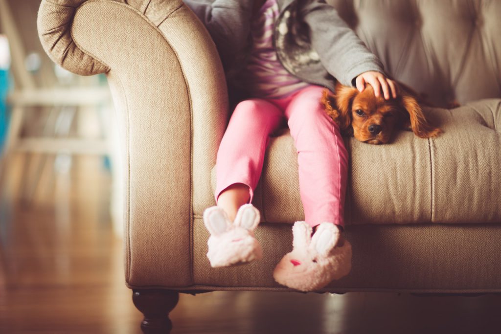 Gli animali domestici offrono una compagnia compassionevole, e lo fanno anche le persone!