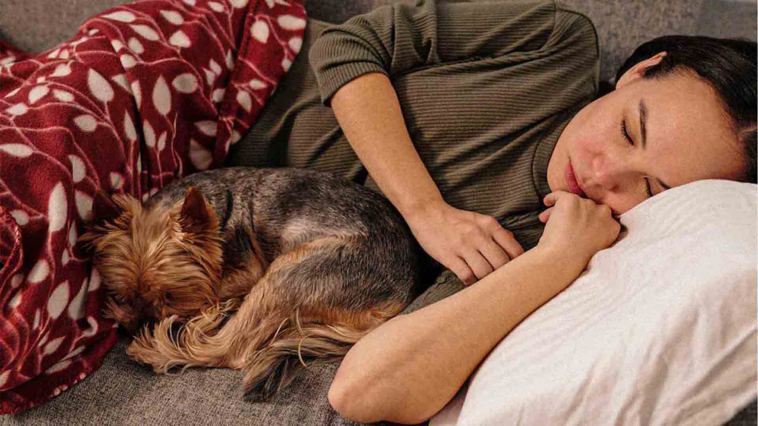 In che modo il sonno influisce sul sistema immunitario?